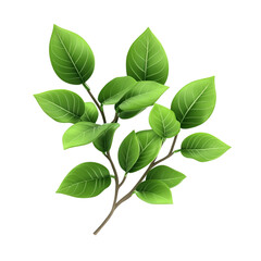 Wall Mural - Lush Green Branch with Vibrant Leaves