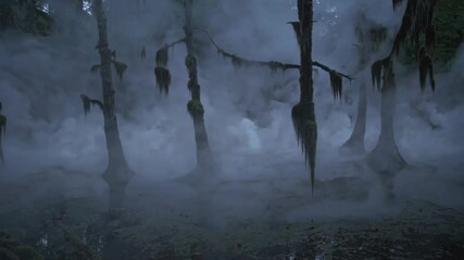 Poster - Mysterious fog envelops ancient trees in a captivating subtropical forest at dawn