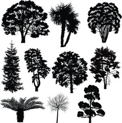 Wall Mural - different trees ten silhouettes isolated on white