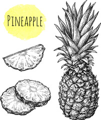 Wall Mural - pineapple ink sketch