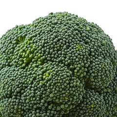 Wall Mural - broccoli close up