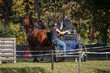 © otterspeer.com Stock - Competitors navigate a challenging course during an eventing competition in an outdoor arena at a park in autumn