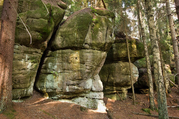 Sticker - Landscape with picturesque rocks in the forest. Table mountains in Poland