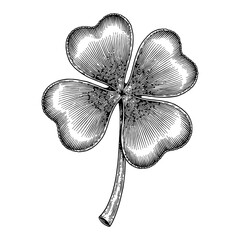 Wall Mural - four leaf clover with detailed black and white outline line art drawing isolated on white background