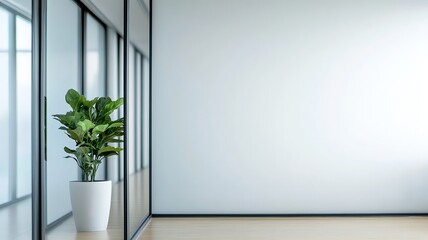 Wall Mural - Frosted Glass Window with Subtle Light Diffusion in Modern Office Space