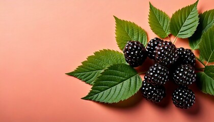 Canvas Print - High-resolution isolated image of boysenberries with leaves on pastel background