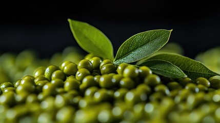 A close-up view of fresh fava beans,