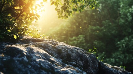 Aufkleber - Sunlight illuminating lush green forest and rock formations
