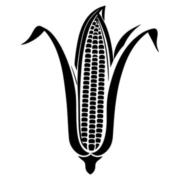 Corn silhouette illustration isolated on white background.Corn black silhouette illustration.silhouette of corn, corn icon, Concept for organic products label.
