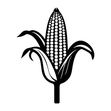 Corn silhouette illustration isolated on white background.Corn black silhouette illustration.silhouette of corn, corn icon, Concept for organic products label.
