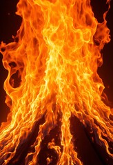 Wall Mural - Flames rising with dark background