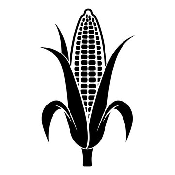 Corn silhouette illustration isolated on white background.Corn black silhouette illustration.silhouette of corn, corn icon, Concept for organic products label.
