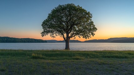 Canvas Print - Solitary tree by lake at sunset.