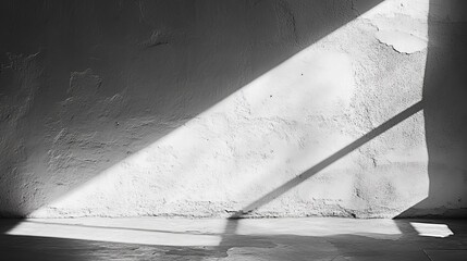 Poster - Light creates dynamic shadows on a textured wall during the afternoon in an indoor space