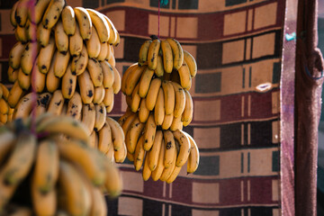 Banana bunch hanging at a fruit market