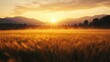 © Outkast - Golden Wheat Field Sunrise Mountain Landscape