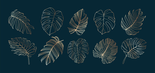 Naklejka na meble Monstera leaves vector set. Golden Outline tropical leaves. Luxury botanical illustration
