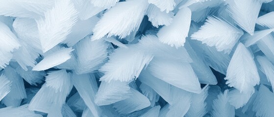 Wall Mural - a close up of a bunch of ice crystals