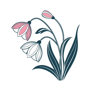Colorful Flower Illustration Vector with Transparent Background and Editable Features