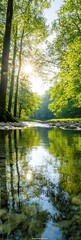 Poster - Scenic River in Lush Green Forest with Sunlight Filtered Through Trees in Springtime : Generative AI