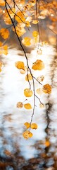 Poster - Golden autumn leaves on a branch reflecting sunlight over a soft focus watery background : Generative AI