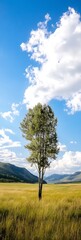Poster - Solitary Tree in Expansive Meadow Under Bright Blue Sky and Fluffy Clouds : Generative AI