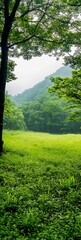 Poster - Vibrant Meadow Nestled in Lush Forest with Mountain Backdrop and Blue Sky : Generative AI