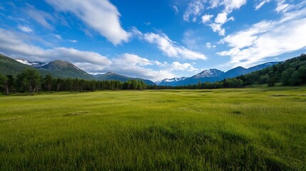 Poster - Expansive Meadow Under Vast Sky with Mountainous Horizon in Pristine Landscape : Generative AI