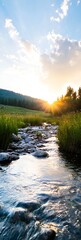 Poster - Pristine Stream Flowing Through Meadow at Sunrise in Nature : Generative AI