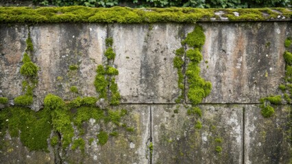Poster - A medium closeup of a weathered concrete wall covered in patches of moss and lichen illustrating a beautiful juxtaposition of nature overtaking manmade materials with textures