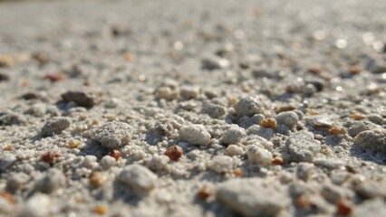Poster - An extreme closeup revealing the fine granules and grains of concrete mix highlighting the tactile quality of the surface. Light catches the texture emphasizing the unevenness and