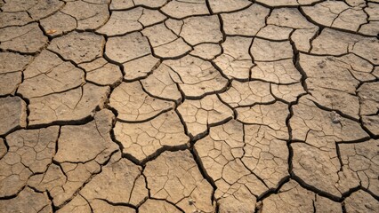 Poster - Cracked Earth A medium closeup of parched soil with deep fissures illustrating themes of scarcity resilience and the passage of time in a harsh environment.