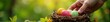 © tpadobestock - Small hand reaches for colorful eggs in a bird's nest , macro, adorable