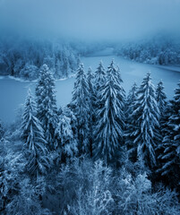 Wall Mural - scenic view of frozen ice lake and by snowy trees at sunset