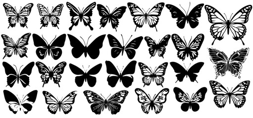 Poster - Set Butterfly Wings. Black butterflies silhouette vector on white background