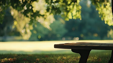 Poster - Wooden Park Bench Underneath Leafy Tree Canopy