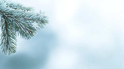 Aufkleber - Frosty Pine Branch With Delicate Snowflakes