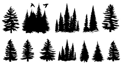 Poster - Wildlife forest trees silhouettes. black tree vector on white background
