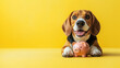 © Olga - Cute dog with a piggy bank on a vibrant yellow background with copy space. Banner for pet insurance and financial planning themes