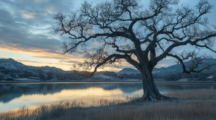 Poster - Reflections of sunset over tranquil waters with a solitary tree in view