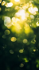 Poster - Sunlight filtering through lush green leaves creates a captivating bokeh effect, transforming the scene into an abstract display of glowing orbs and soft light