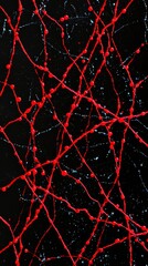 Poster - Red paint dynamically splatters across a black canvas, creating energetic lines and dots in a captivating abstract composition with contrasting colors