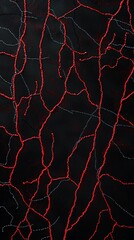 Poster - Red threads embroidered on a dark fabric create a network of veins, forming an abstract pattern that evokes biological or geological structures