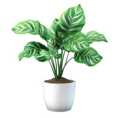 Wall Mural - vibrant indoor plant with large. glossy green leaves adorned with striking white stripes. set in a simple white pot filled with soil the plant adds a fresh and lively touch to any indoor space. emphas