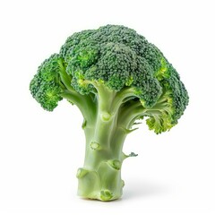 Sticker - Close up of a fresh, raw broccoli head, showcasing its vibrant green color and intricate texture, isolated on a white background