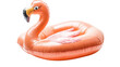© Michael - Flamingo pool float transparent background