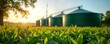 © Viktor - Rural countryside landscape with biogas plant. Green tanks for biofuel production visible in background. Rich green plants in foreground. Sunny sunrise atmosphere. Sustainable energy production from