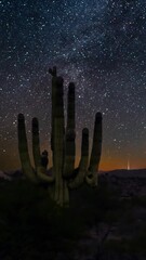 Wall Mural - cactus in the desert with starry night sky and milky way. vertical design in 9:16 ratio. smartphone 
