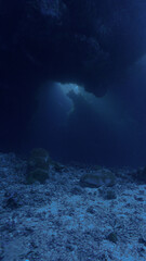 Wall Mural - Cathedrals of light. Artistic underwater photo of magic rays of sunlight inside a cave