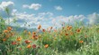 © FAJIYUSNI - A vibrant field of orange poppies under a bright blue sky with fluffy clouds.